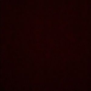 Meet your Posher, Ava